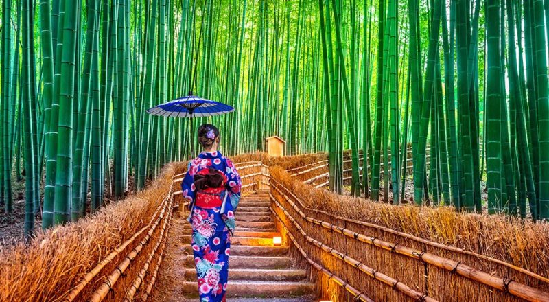 Pesona Alam yang Menenangkan di Hutan Bambu Arashiyama, Kyoto